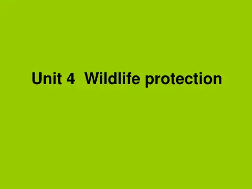 人教版高中英语 必修二 Unit4 Wildlife protection Warming up  