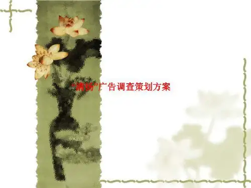 “清扬”广告调查策划方案