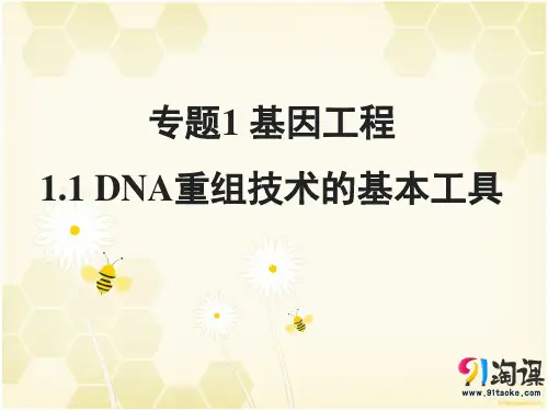 原创6：1.1 DNA重组技术的基本工具