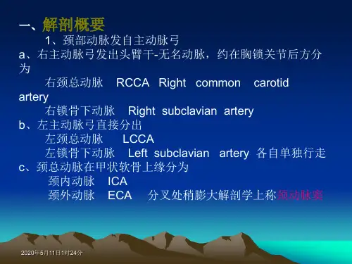 颈部血管的诊断标准