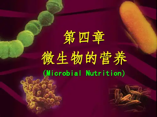 《微生物营养》PPT课件