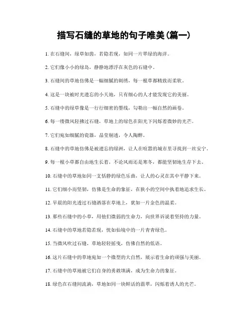 描写石缝的草地的句子唯美(精选合集2篇)
