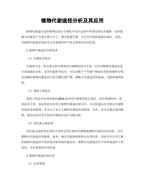 植物代谢途径分析及其应用