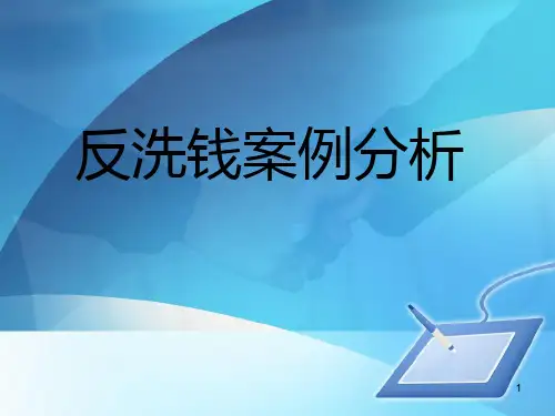 反洗钱案例分析PPT幻灯片
