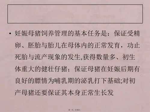 妊娠母猪的饲养管理方法