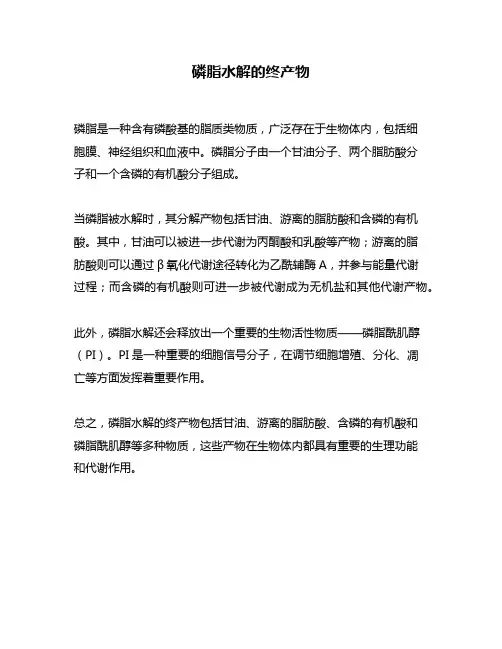 磷脂水解的终产物