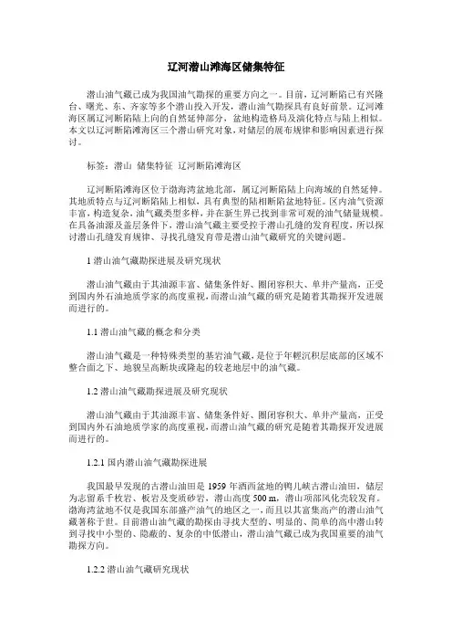 辽河潜山滩海区储集特征
