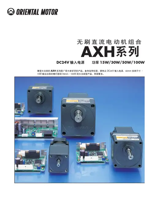 无刷直流电动机组合
