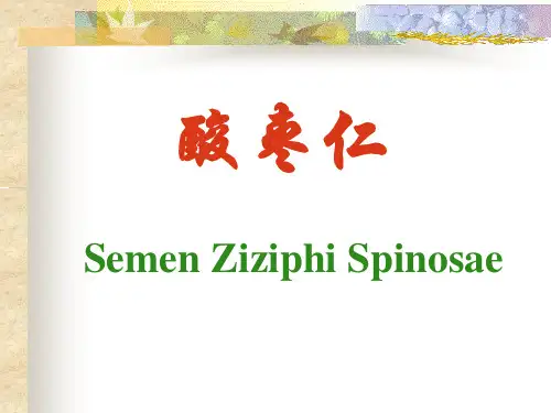 酸枣仁