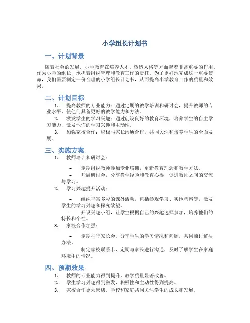 小学组长计划书