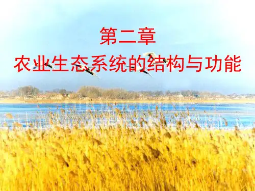 新版-第二章农业生态系统结构与功能第三四五节