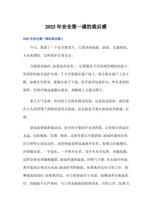 2023年安全第一课的观后感