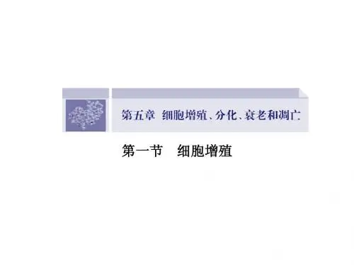 【课堂设计】14-15高中生物(苏教)必修1课件：5.1.1细胞周期与有丝分裂