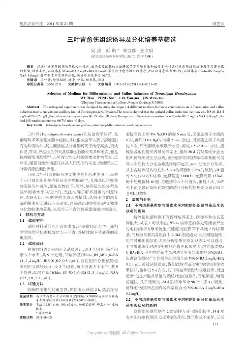 三叶青愈伤组织诱导及分化培养基筛选_