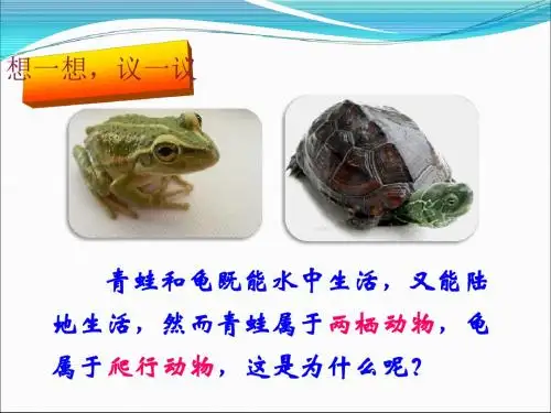 人教版两栖动物和爬行动物课件(共22张PPT)