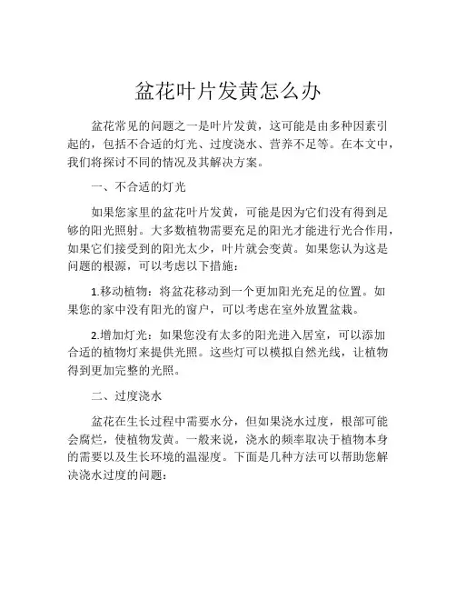 盆花叶片发黄怎么办