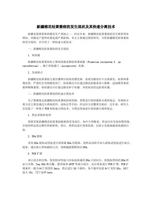 新疆棉花枯黄萎病的发生现状及其快速分离技术