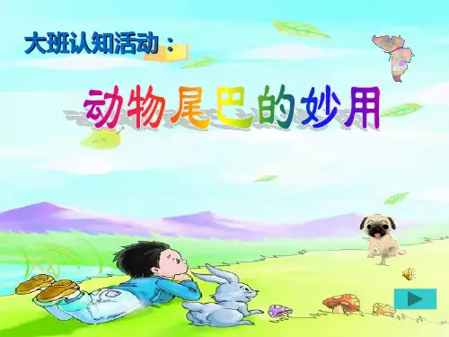 动物尾巴ppt课件