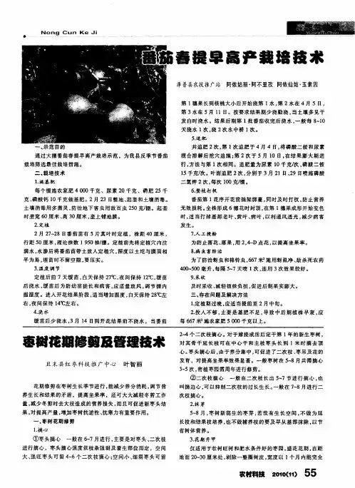 番茄春提早高产栽培技术