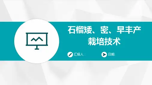 石榴矮、密、早丰产栽培技术