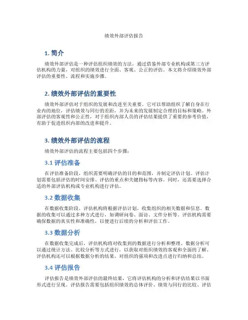 绩效外部评估报告