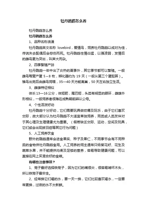 牡丹鹦鹉怎么养