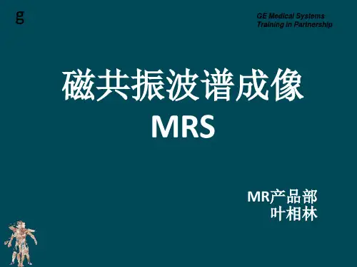 MRS原理