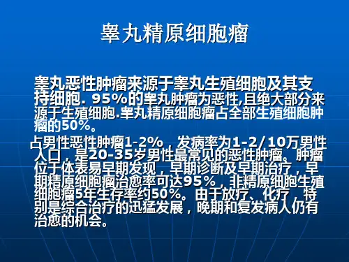 睾丸精原细胞癌