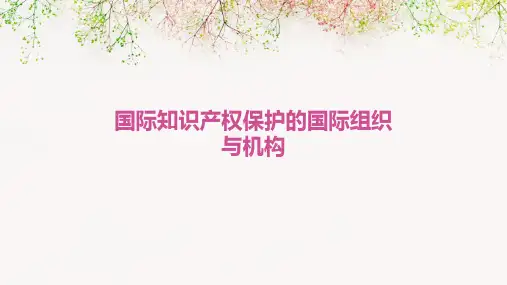 国际知识产权保护的国际组织与机构