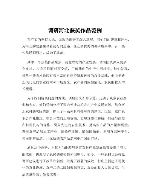 调研河北获奖作品范例