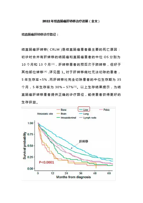 2022年结直肠癌肝转移治疗进展(全文)