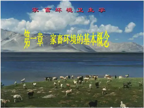 动物环境卫生学第1章基本概念课件