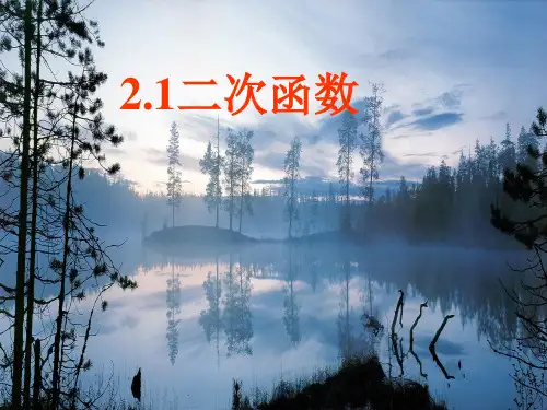 第26章二次函数26.1-26.2全部课件(4)数学课件PPT