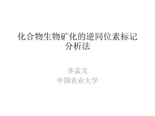 化合物生物矿化的逆同位素标记分析法