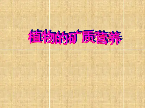 高中生物植物的矿质营养1名师精编课件人教版必修一