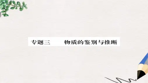 2019年中考化学总复习 第二轮 专题训练 提升能力 专题三 物质的鉴别与推断练习课件