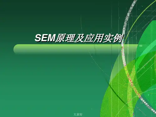 SEM原理及应用实例 PPT