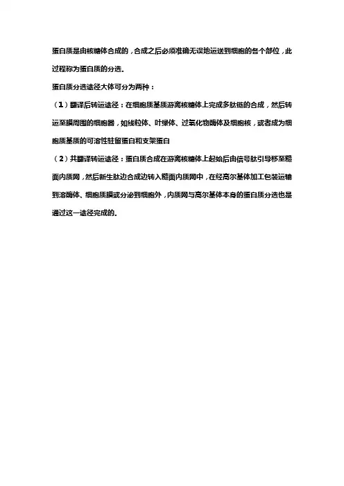 蛋白质分选的途径