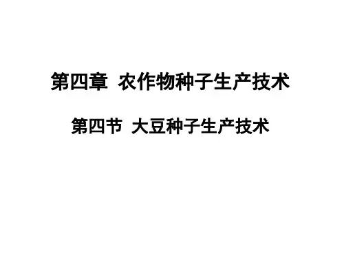 4、大豆种子生产技术[73页]