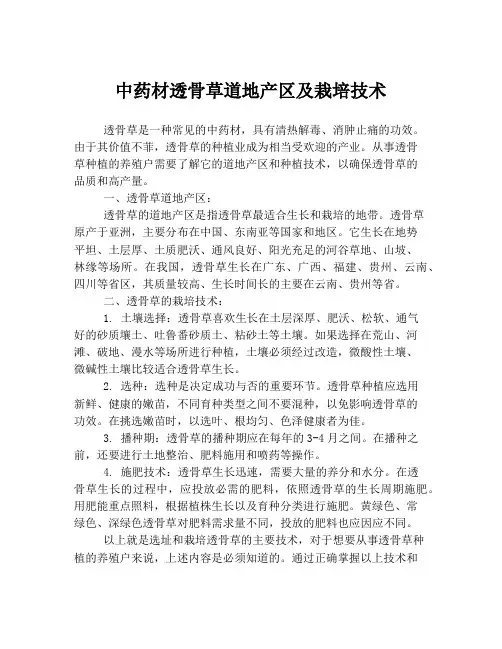 中药材透骨草道地产区及栽培技术