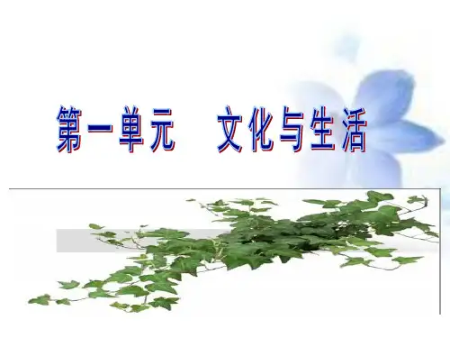文化生活第一课.ppt