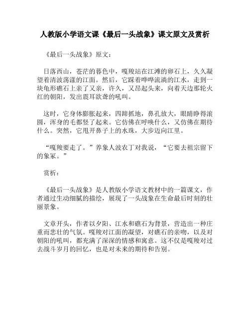 人教版小学语文《最后一头战象》课文原文及赏析