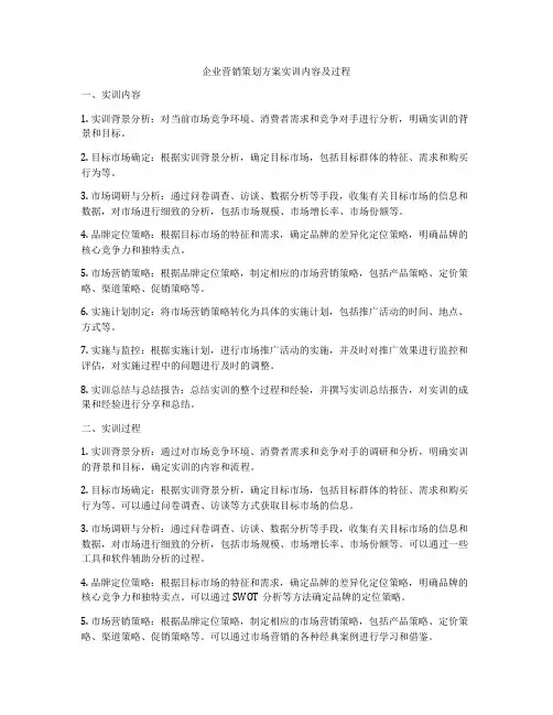 企业营销策划方案实训内容及过程