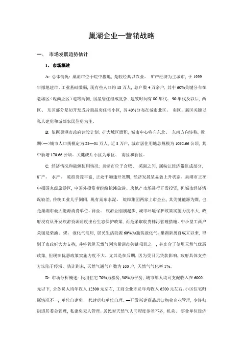 巢湖市场调研研究报告
