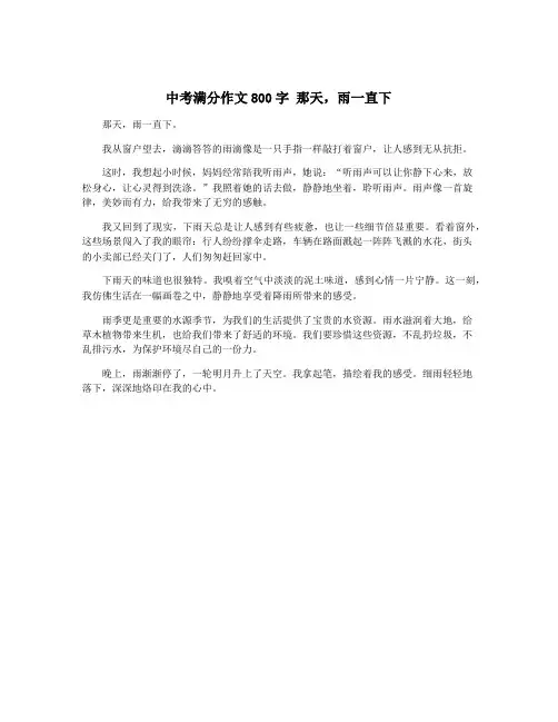 中考满分作文800字 那天,雨一直下