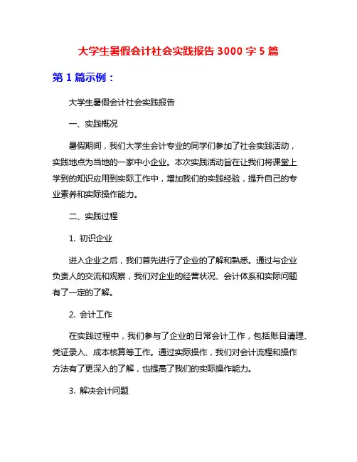大学生暑假会计社会实践报告3000字5篇