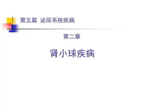 肾小球疾病ppt课件-精品文档135页