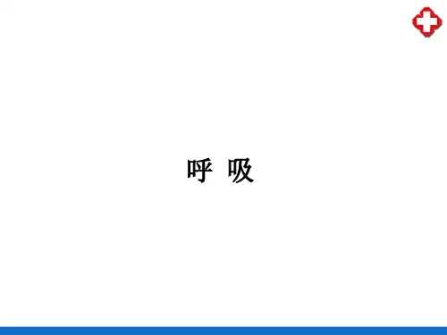 呼吸—肺通气(生理学课件)