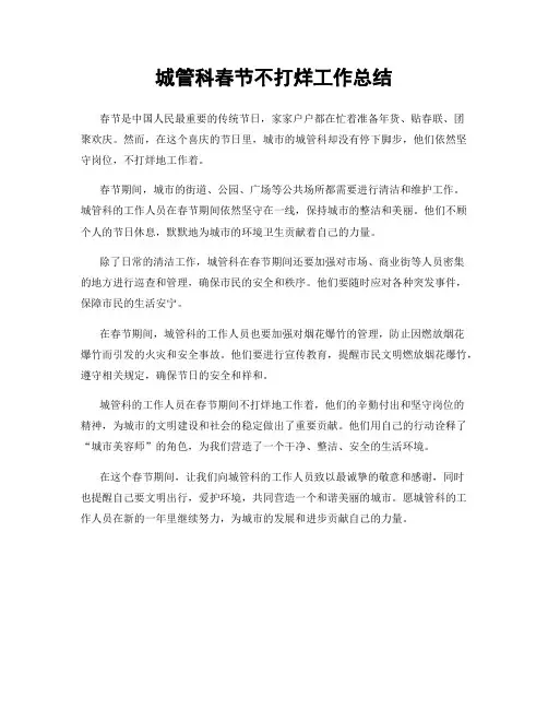 城管科春节不打烊工作总结