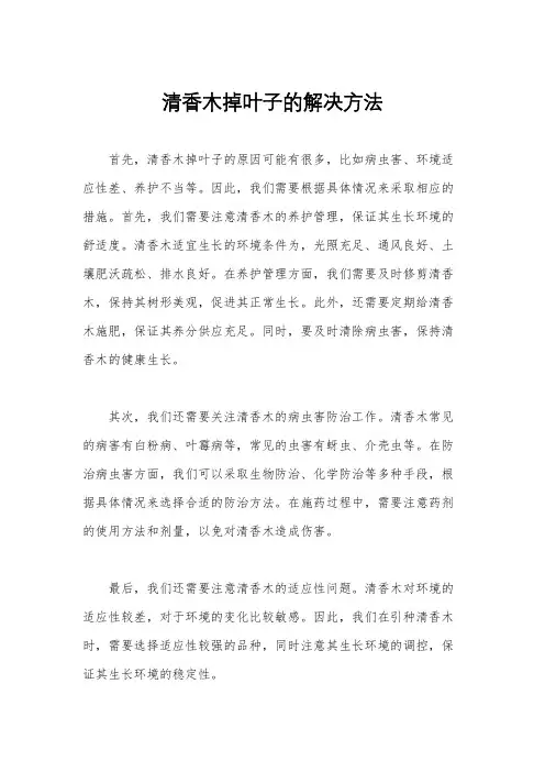 清香木掉叶子的解决方法